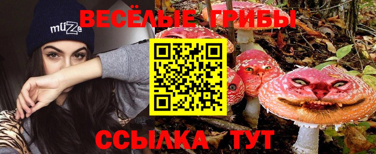 хочу   Вход с VPN  Аксай  Галлюциногенные грибы ЛСД 