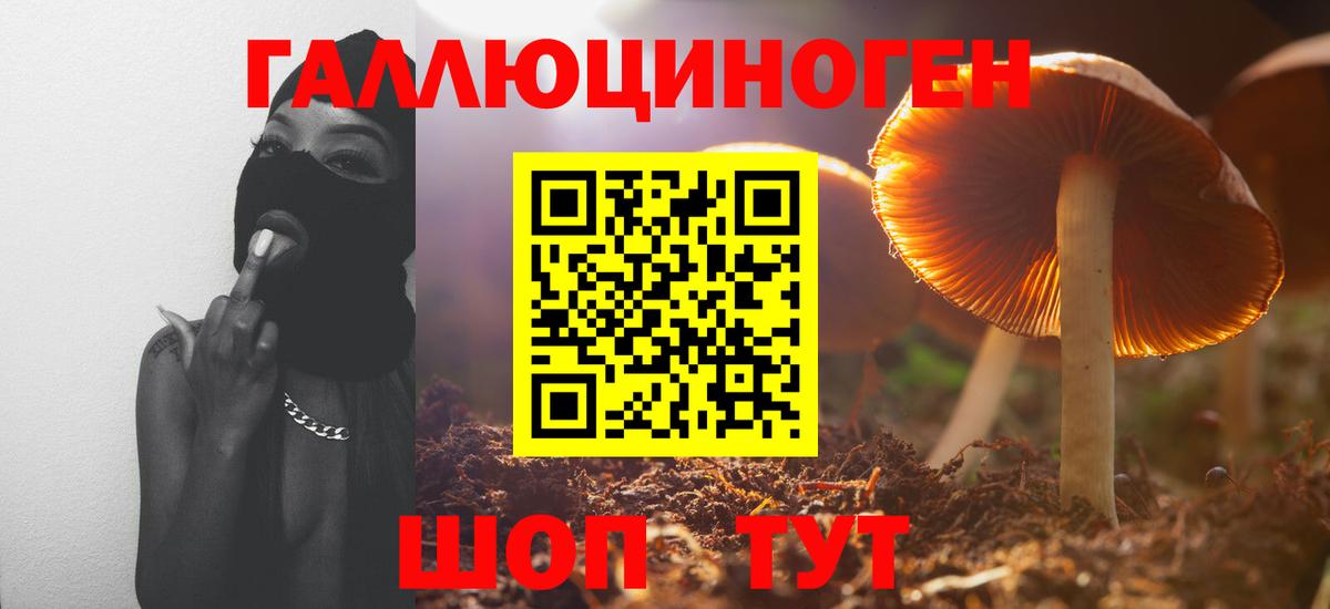 Псилоцибиновые грибы GOLDEN TEACHER Аксай